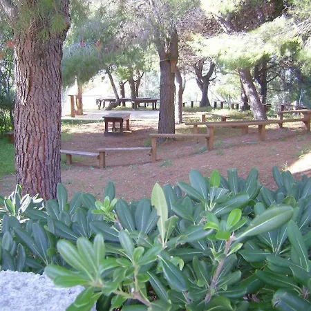 Trilocale 33 La Giungla Διαμέρισμα Falerna